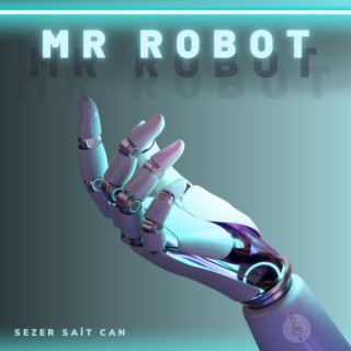 MR ROBOT (Special Version)