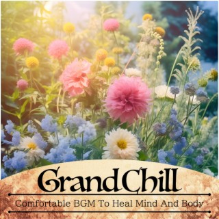 Comfortable BGM To Heal Mind And Body