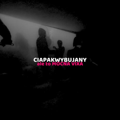 CIAPAKWYBUJANY ale to MOCNA VIXA (slowed) ft. mvtrixx & cruisy | Boomplay Music