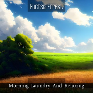 Morning Laundry And Relaxing