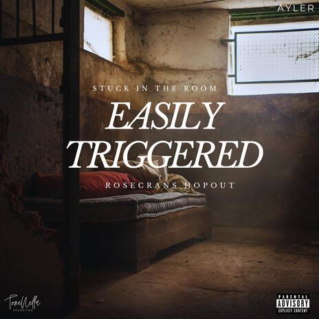 Easily Triggered | Boomplay Music