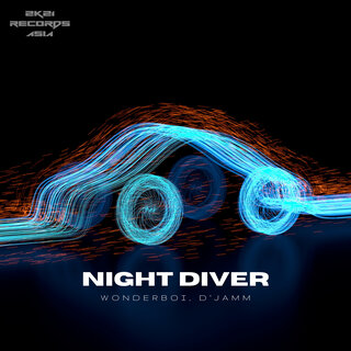 Night Diver