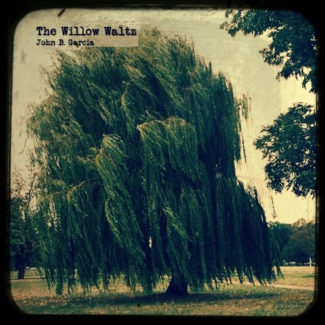 The Willow Waltz | Boomplay Music