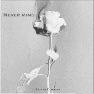 Never Mind lyrics | Boomplay Music