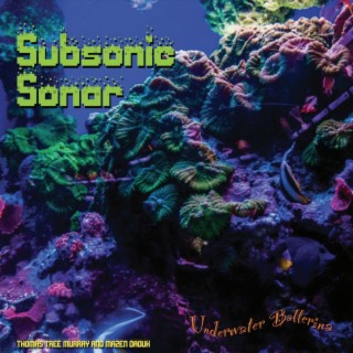 Subsonic Sonar