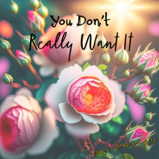 You don't really want it lyrics | Boomplay Music