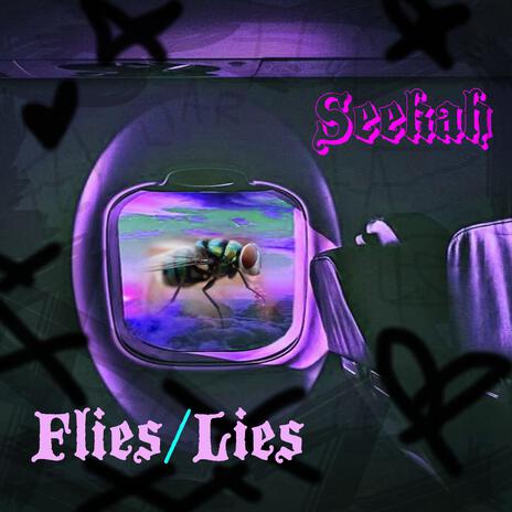 Flies Lies