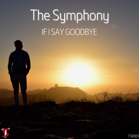 If I Say Goodbye | Boomplay Music