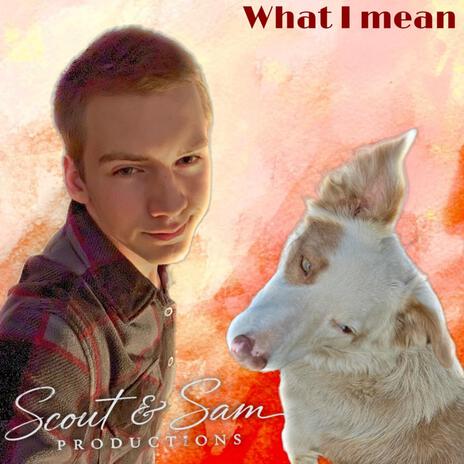 What I mean | Boomplay Music