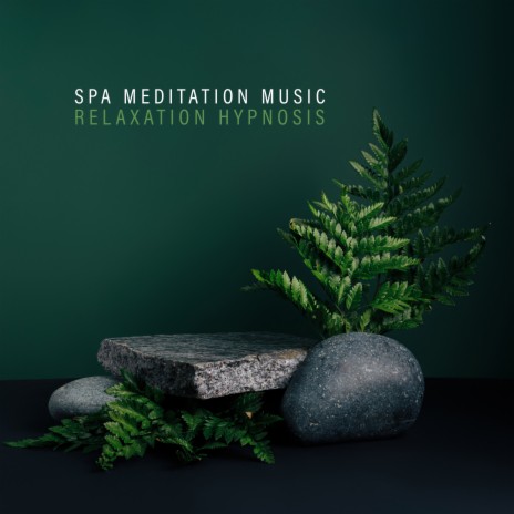 Mindfulness Meditation | Boomplay Music