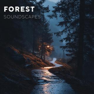 Tranquil Forest Soundscapes