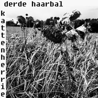 Derde Haarbal