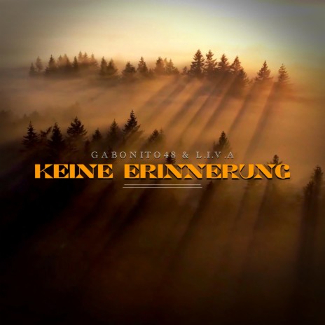 Keine Erinnerung ft. L.I.V.A | Boomplay Music