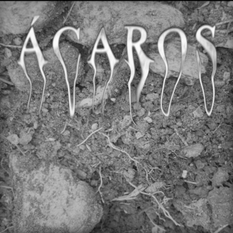 Acaros | Boomplay Music