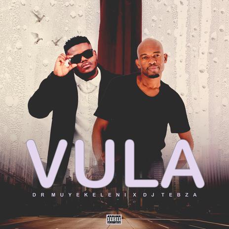 Vula ft. Tebza DE Dj | Boomplay Music