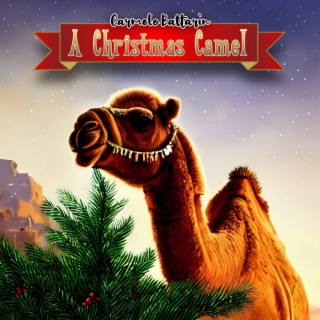 A Christmas Camel