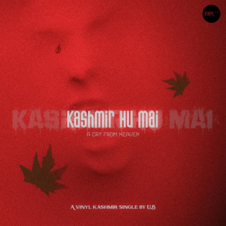 Kashmir hu mai | Boomplay Music