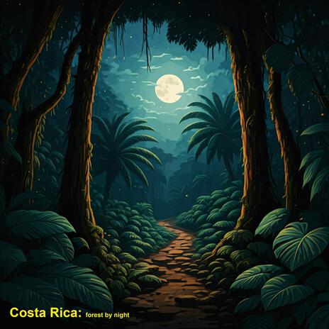 Costa Rica: Forest by Night | Boomplay Music