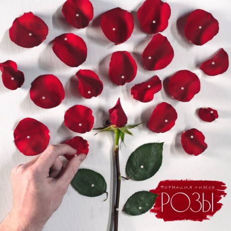 Розы | Boomplay Music