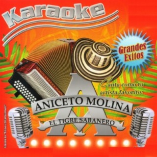 Karaoke Grandes Exitos De Anecito Molina