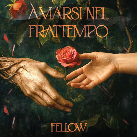 Amarsi nel frattempo | Boomplay Music