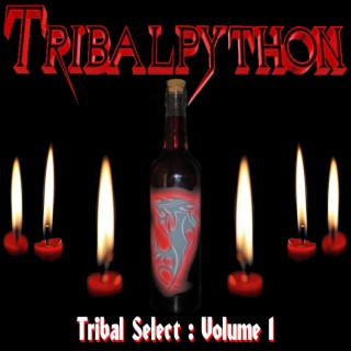 Tribal Select : Volume I