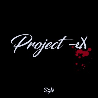 Project-eX