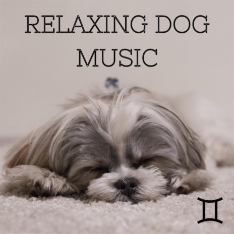 Pet Relax and Sleep | Boomplay Music