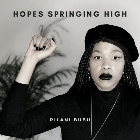 Hopes Springing High | Boomplay Music