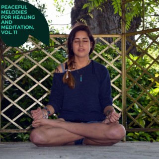 Peaceful Melodies for Healing and Meditation, Vol. 11