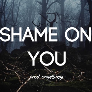 Shame On You