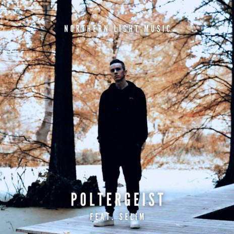 Poltergeist ft. Selim | Boomplay Music