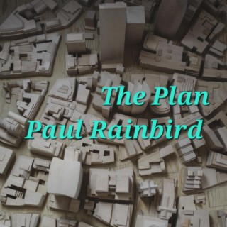 The Plan