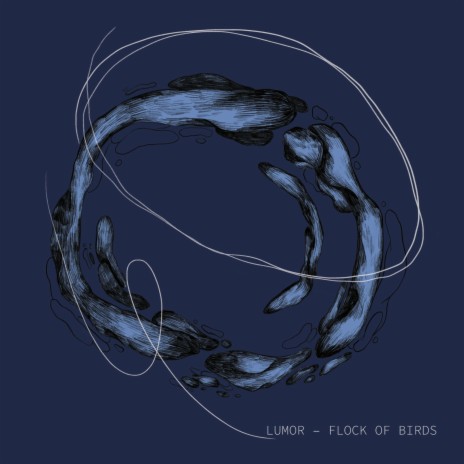 Flock of Birds ft. Mirjam Hässig, Flo Hufschmid & Manuel Sidler | Boomplay Music