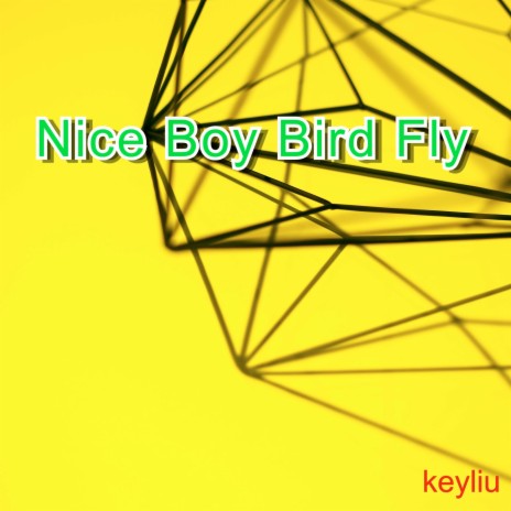 Nice Boy Bird Fly