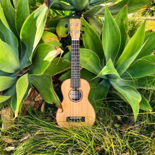 The Dancing Ukulele