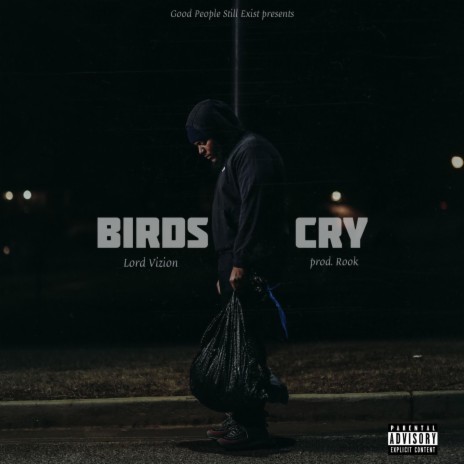 Birds Cry | Boomplay Music