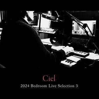 2024 Bedroom Live Selection 3