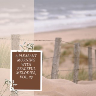 A Pleasant Morning with Peaceful Melodies, Vol. 05