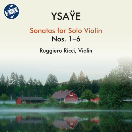 Sonata for Solo Violin in A Minor, Op. 27 No. 2: IV. Les furies | Boomplay Music