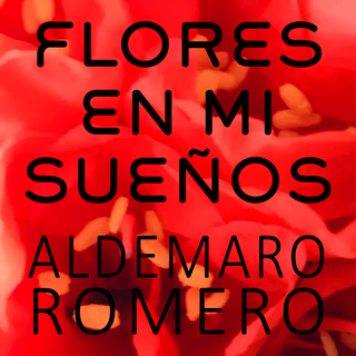 Flores en Mi Sueños - Latin Elegance For Winter Evenings