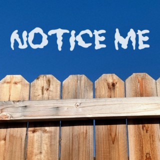 Notice Me lyrics | Boomplay Music
