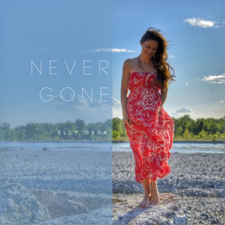 Never Gone (Radio Edit)