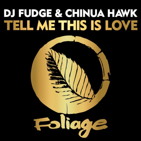 Tell Me This Is Love (Vocal Mix) ft. Chinua Hawk | Boomplay Music