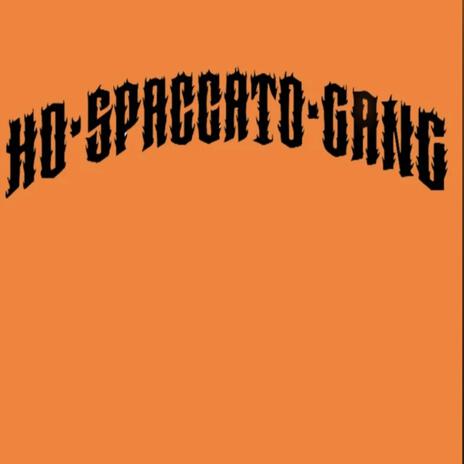 Ho Spaccato Gang ft. Marco Messina & Strikkiboy | Boomplay Music