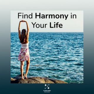 Find Harmony in Your Life
