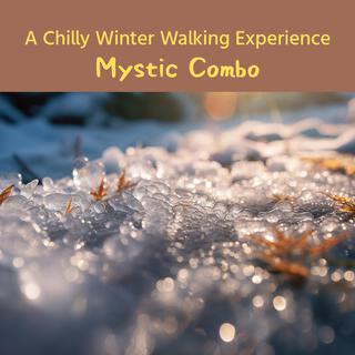 A Chilly Winter Walking Experience