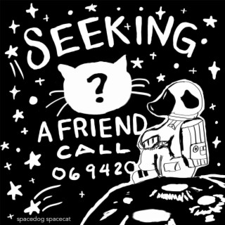 Seeking a Friend