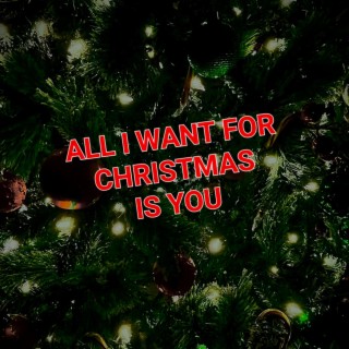All I Want For Christmas Is You lyrics | Boomplay Music