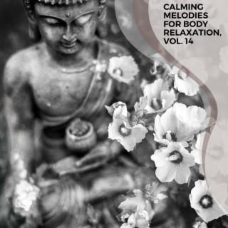 Calming Melodies for Body Relaxation, Vol. 14